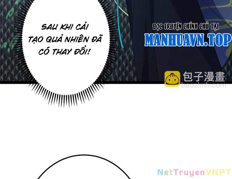 Chưởng Môn Khiêm Tốn Chút Chapter 489 - Trang 4
