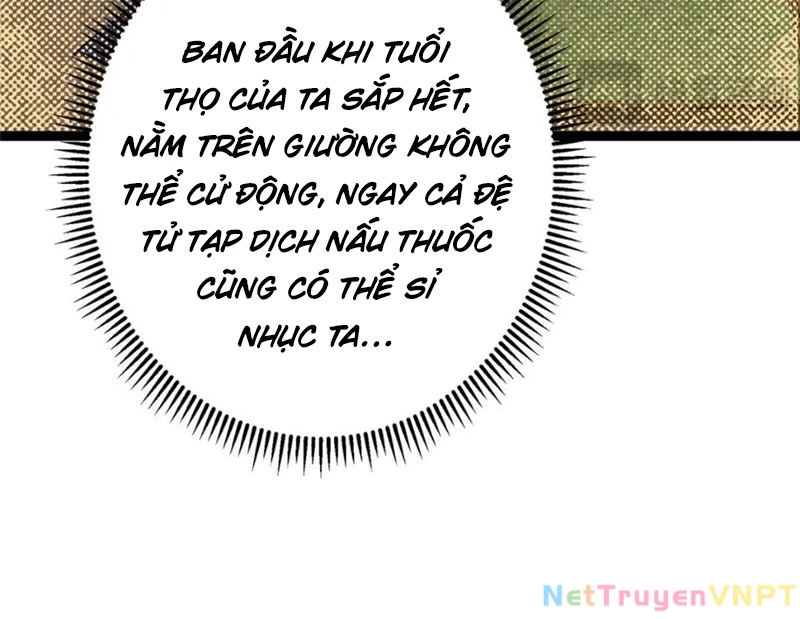 Chưởng Môn Khiêm Tốn Chút Chapter 489 - Trang 4