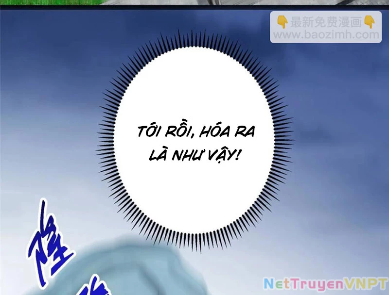 Chưởng Môn Khiêm Tốn Chút Chapter 489 - Trang 4