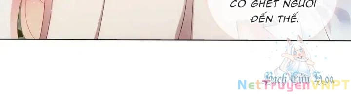 Như Loan Chapter 17 - Next Chapter 18