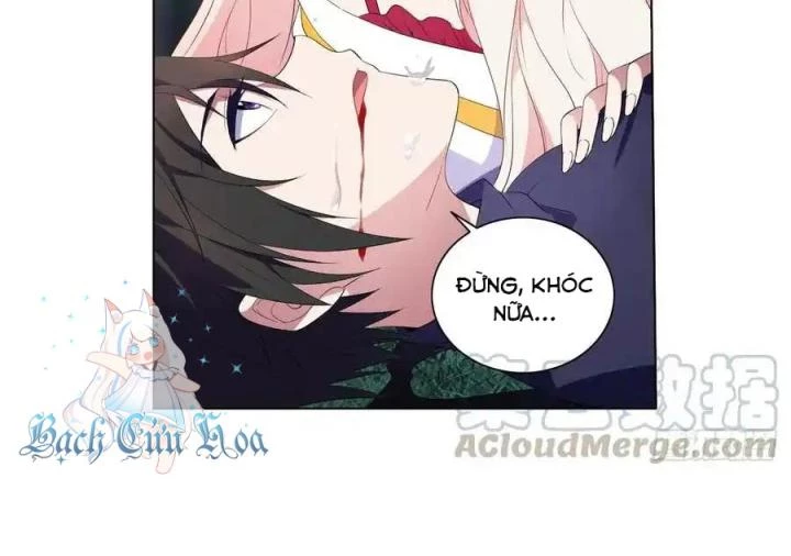 Như Loan Chapter 21 - Next Chapter 22