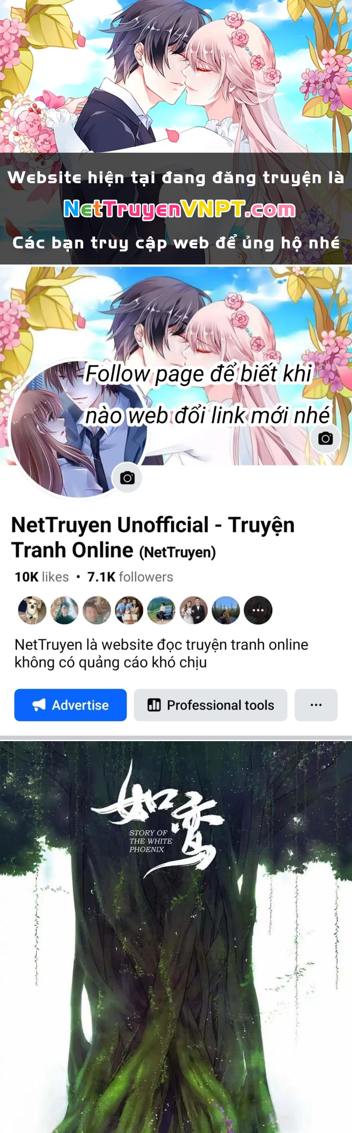 Như Loan Chapter 22 - Next Chapter 23
