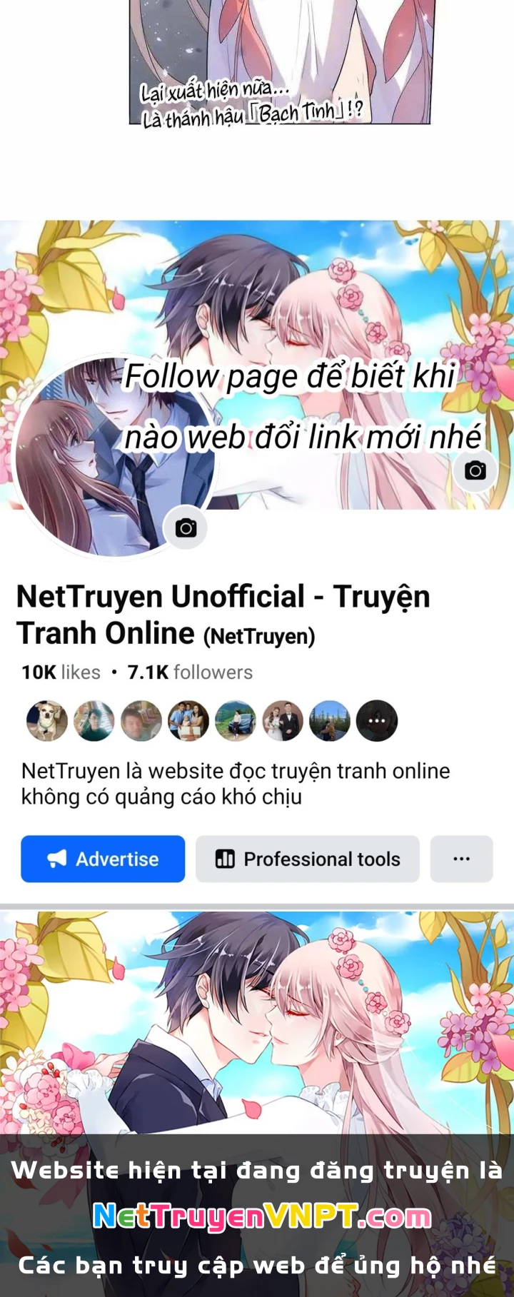 Như Loan Chapter 22 - Trang 3