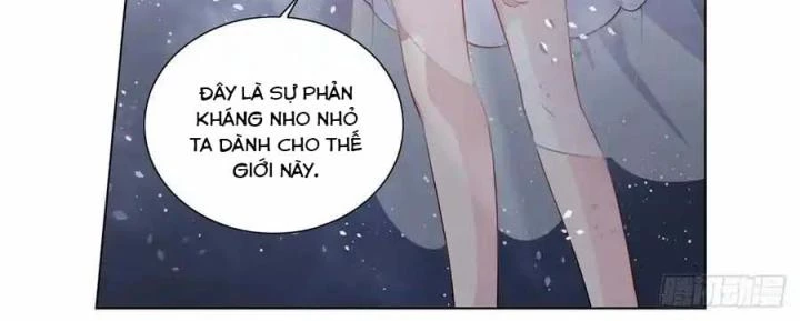 Như Loan Chapter 23 - Trang 3