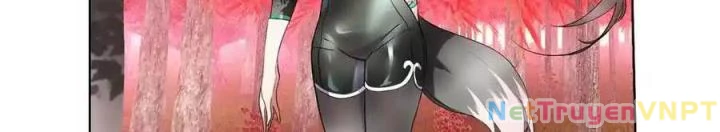Như Loan Chapter 26 - Next Chapter 27