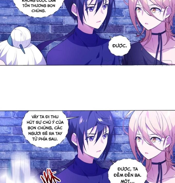 Như Loan Chapter 33 - Trang 3
