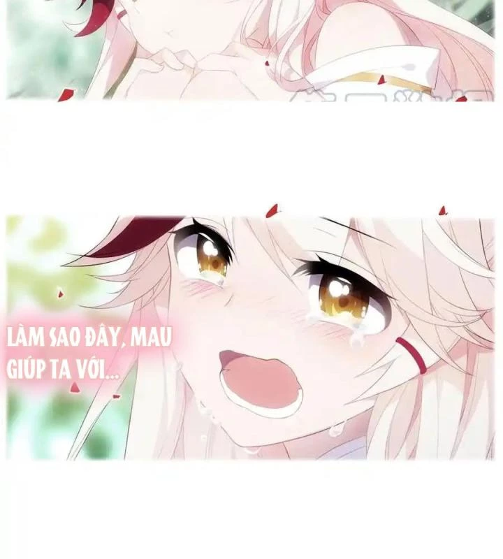 Như Loan Chapter 38 - Next Chapter 39