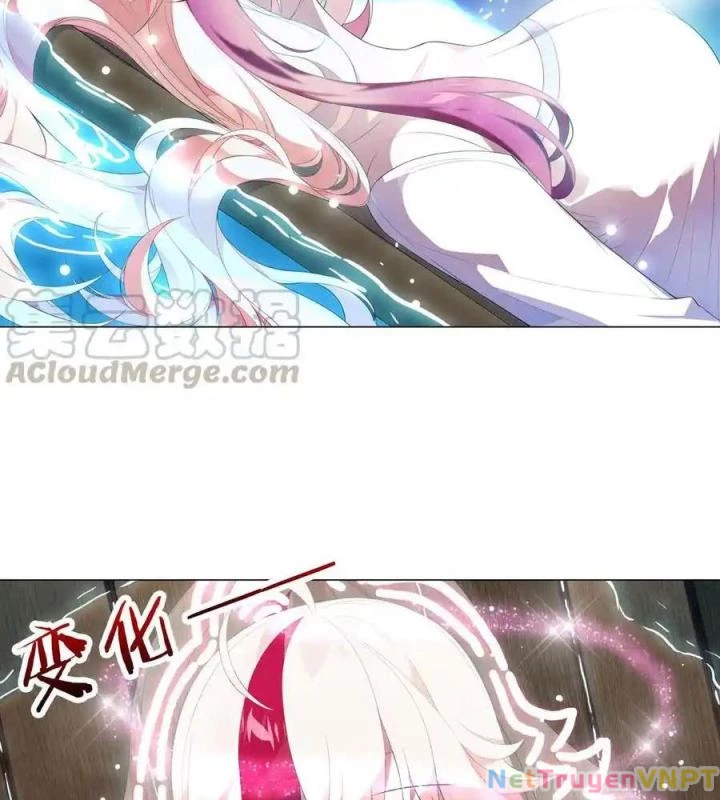 Như Loan Chapter 38 - Next Chapter 39