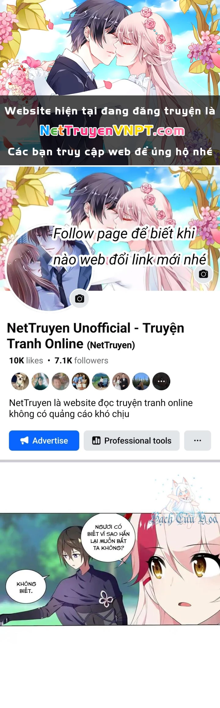 Như Loan Chapter 43 - Trang 3