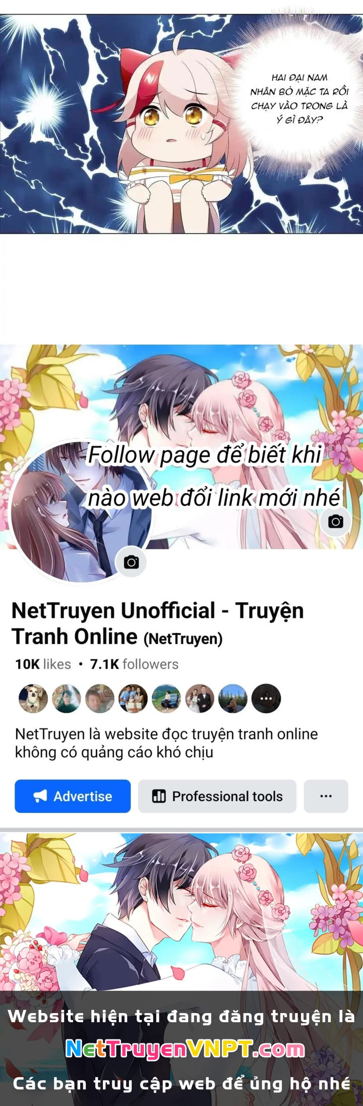 Như Loan Chapter 46 - Trang 3