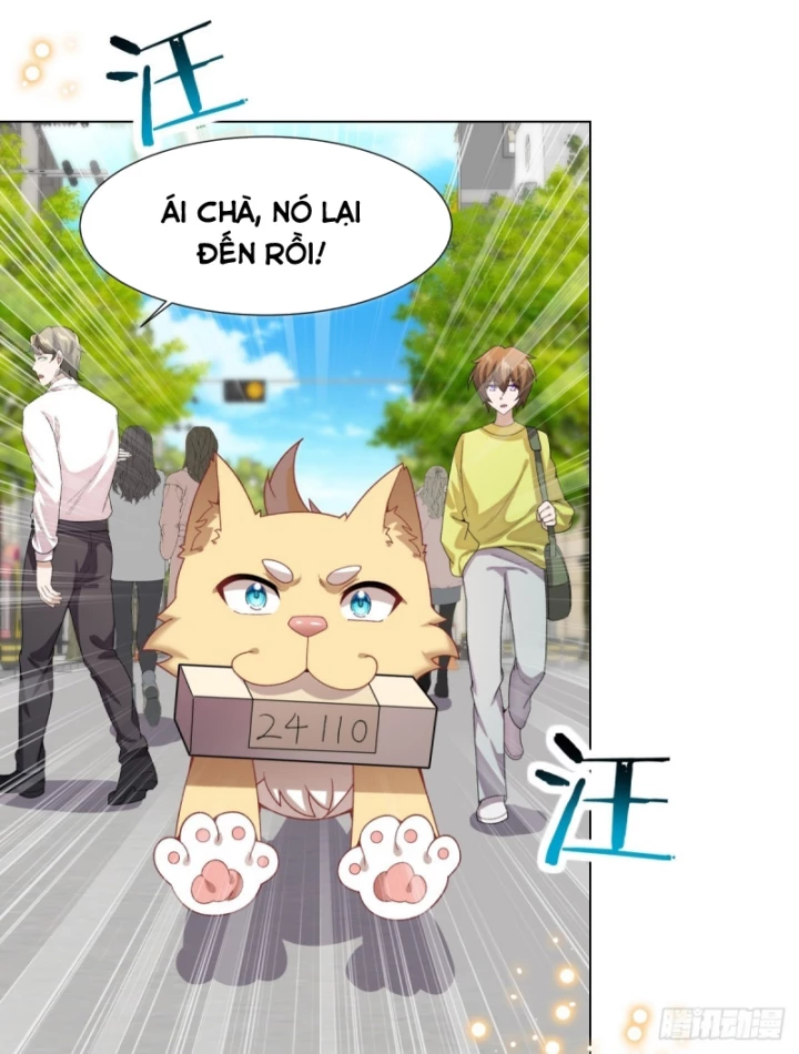 Kế Hoạch Nuôi Dưỡng Streamer Của Cẩu Hoàng Chapter 15 - Trang 3
