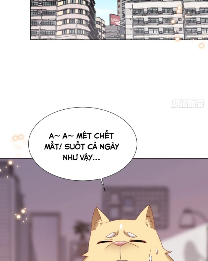 Kế Hoạch Nuôi Dưỡng Streamer Của Cẩu Hoàng Chapter 15 - Trang 3