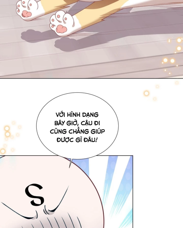 Kế Hoạch Nuôi Dưỡng Streamer Của Cẩu Hoàng Chapter 15 - Trang 3