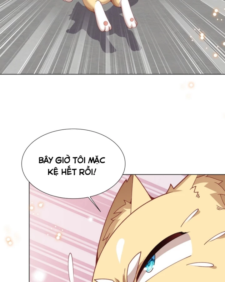 Kế Hoạch Nuôi Dưỡng Streamer Của Cẩu Hoàng Chapter 15 - Trang 3