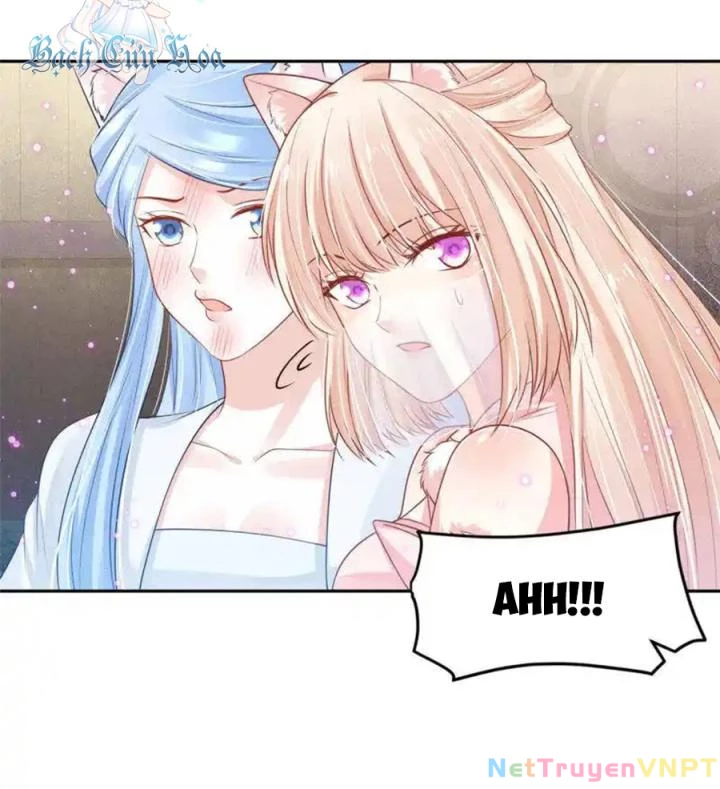 Hồ Ly Tinh Của Trẫm Chapter 91 - Trang 2