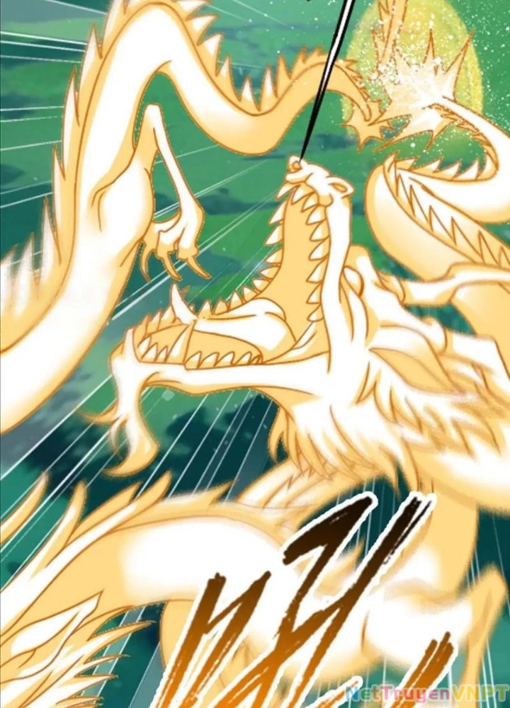 Đấu La Đại Lục Chapter 350.2 - Trang 2
