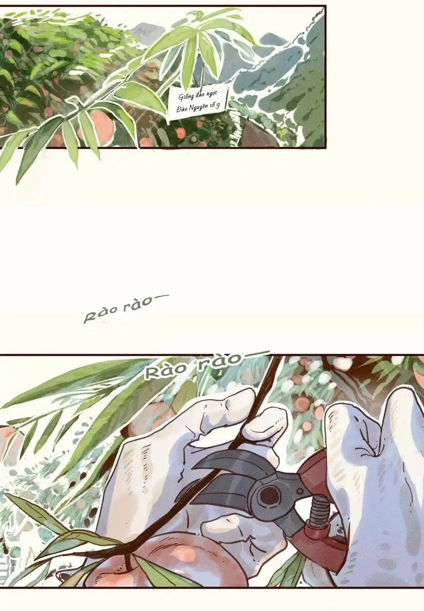 Cô Gái Thân Yêu Của Tôi Chapter 1 - Trang 3