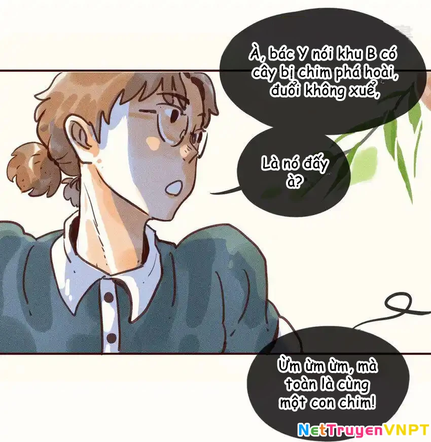 Cô Gái Thân Yêu Của Tôi Chapter 1 - Trang 3