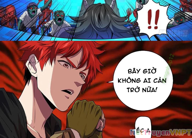Lãnh Vực Quái Vật Chapter 162 - Trang 2