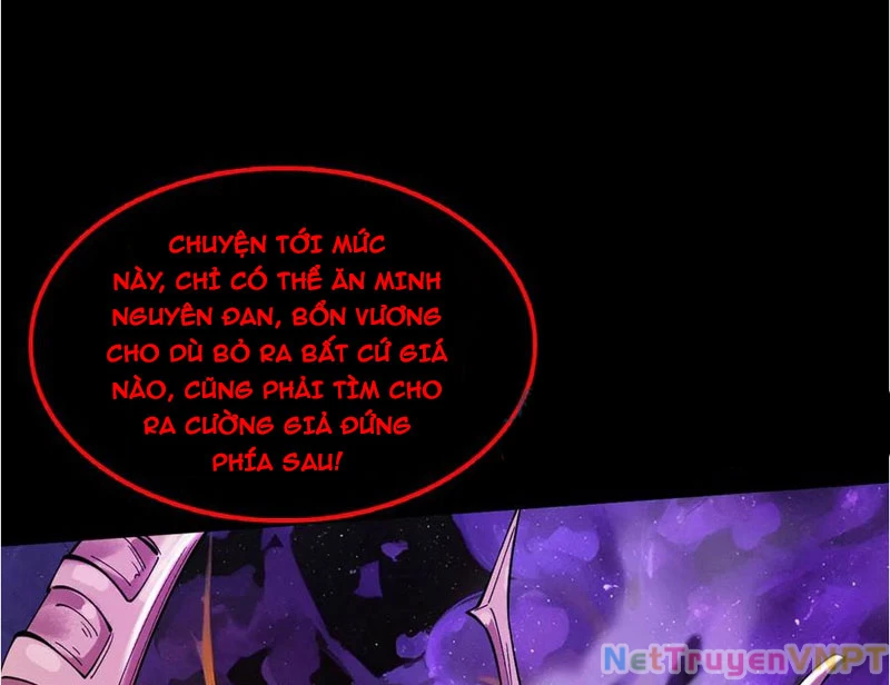 Gặp Mạnh Thì Mạnh, Ta Tu Vi Vô Thượng Hạn Chapter 37 - Trang 2