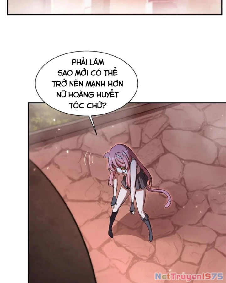 Huyết Cơ Và Kỵ Sĩ Chapter 351 - Trang 3