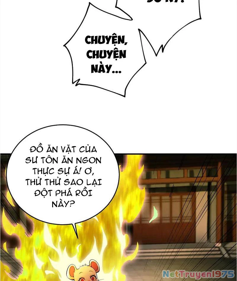 Gặp Mạnh Thì Mạnh, Ta Tu Vi Vô Thượng Hạn Chapter 38 - Trang 2