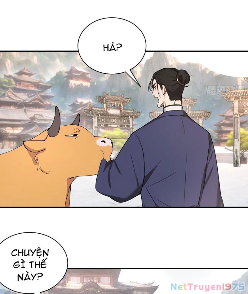 Bách Thê Phổ: Thánh nữ đều gọi ta là phu quân Chapter 50 - Trang 3