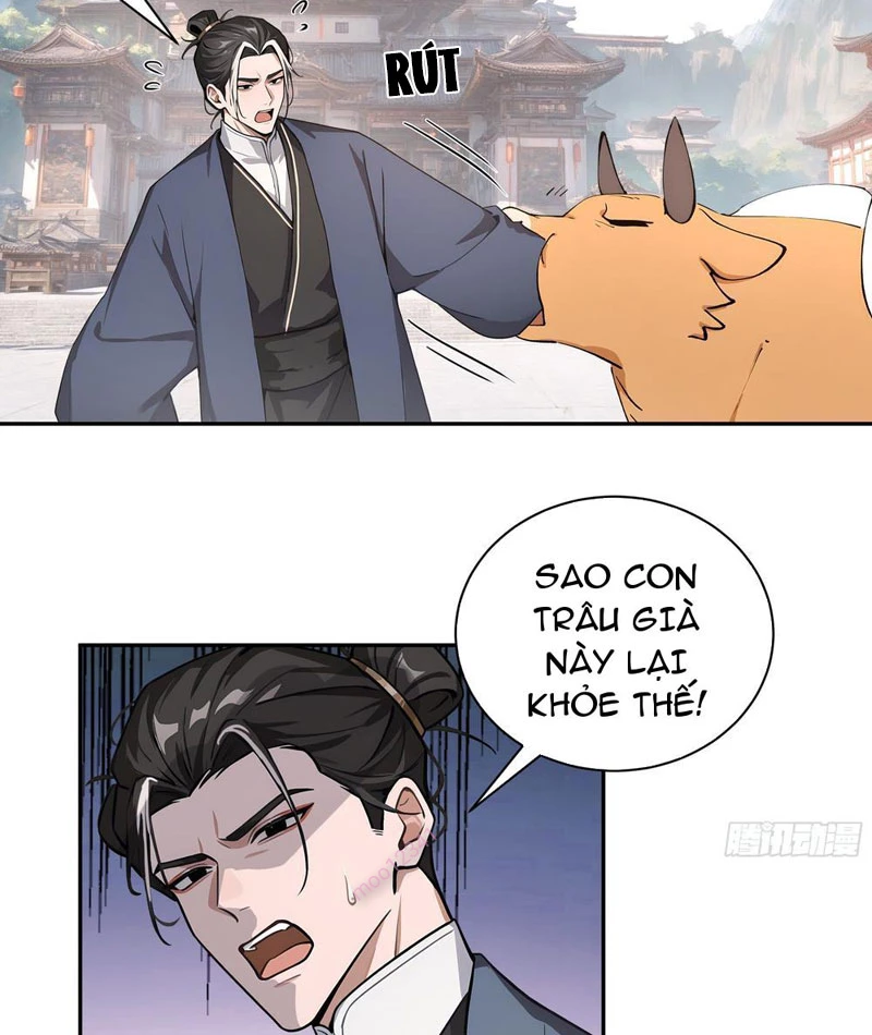 Bách Thê Phổ: Thánh nữ đều gọi ta là phu quân Chapter 50 - Trang 3