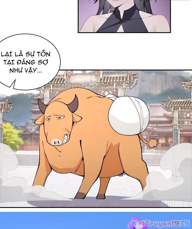 Bách Thê Phổ: Thánh nữ đều gọi ta là phu quân Chapter 50 - Trang 3
