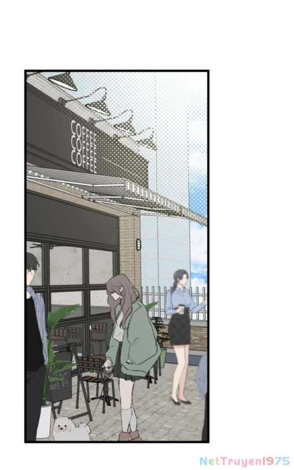 Quy Luật Về Rác Rưởi Chapter 19.2 - Trang 2