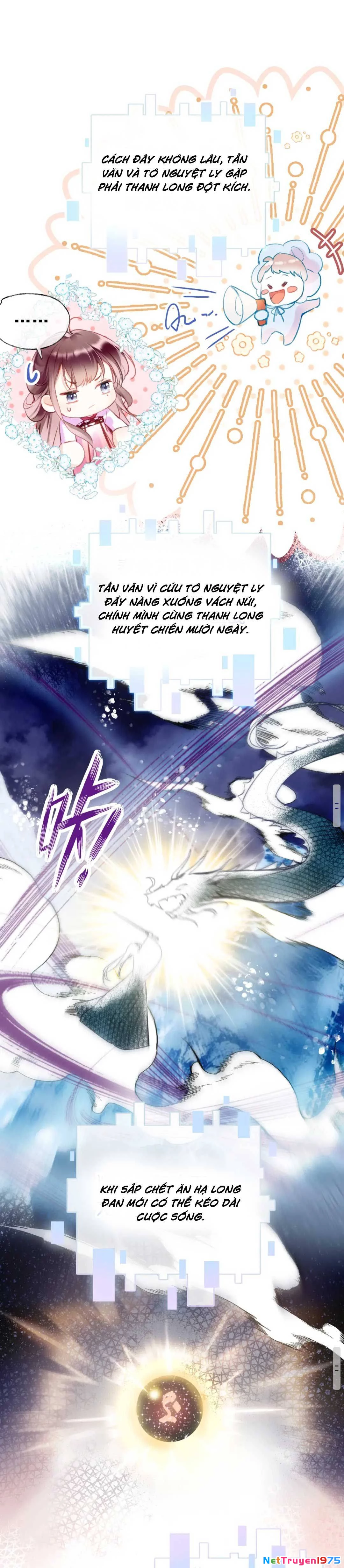 Vi Phu Của Ta Là Long Ngạo Thiên Chapter 2 - Trang 4
