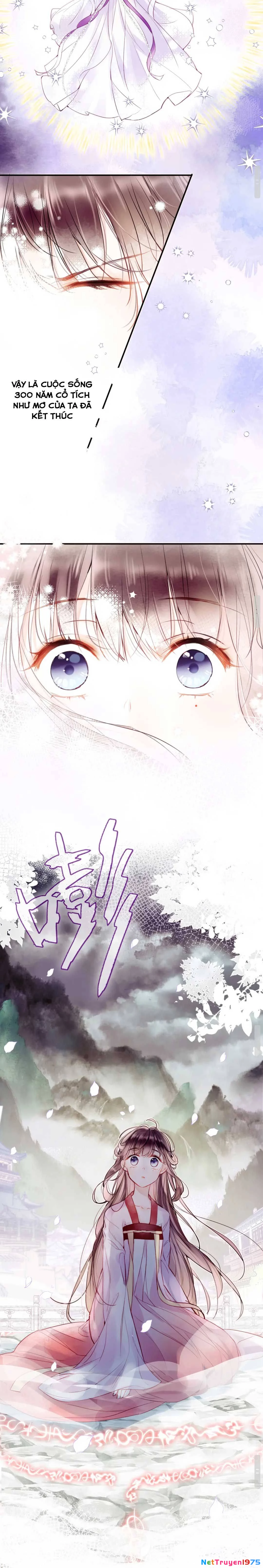 Vi Phu Của Ta Là Long Ngạo Thiên Chapter 1 - Trang 4