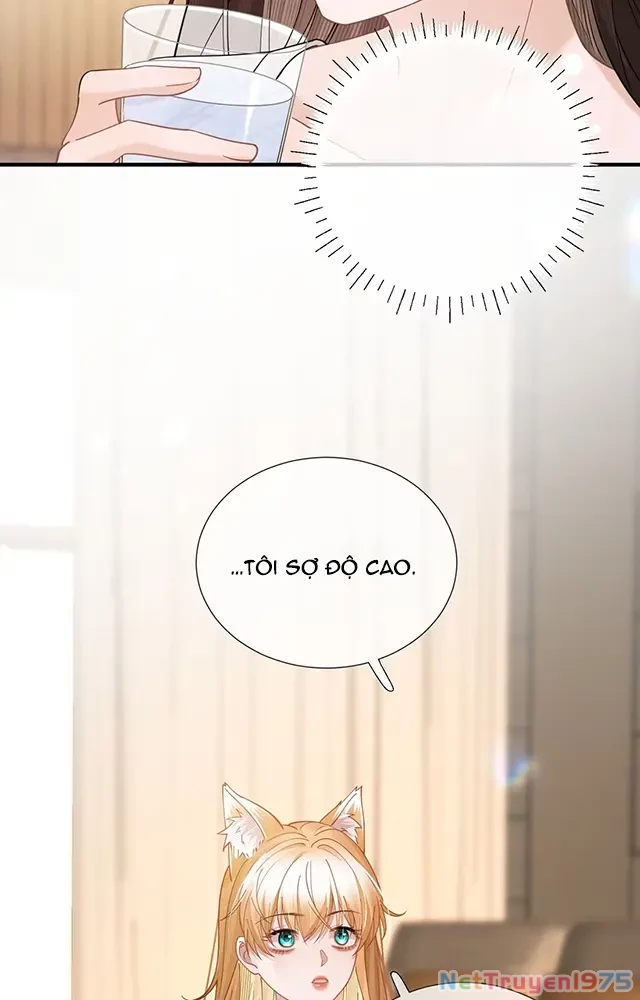 Thưa Ngài, Đuôi Của Ngài Không Giấu Được Nữa Rồi Chapter 20 - Trang 2
