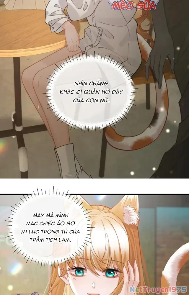 Thưa Ngài, Đuôi Của Ngài Không Giấu Được Nữa Rồi Chapter 22 - Trang 2