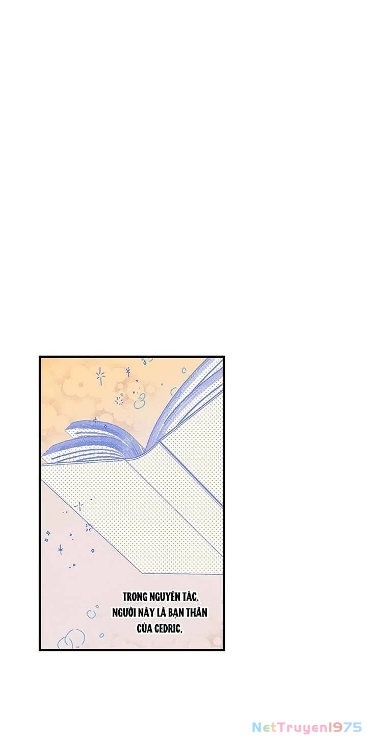 May Mắn Hay Bất Hạnh Chap 17 - Trang 4