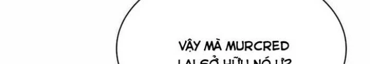 Đa Sắc Ma Pháp Sư Thiên Tài Chapter 33 - Trang 3