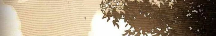 Đa Sắc Ma Pháp Sư Thiên Tài Chapter 33 - Trang 3