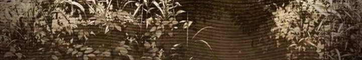 Đa Sắc Ma Pháp Sư Thiên Tài Chapter 33 - Trang 3
