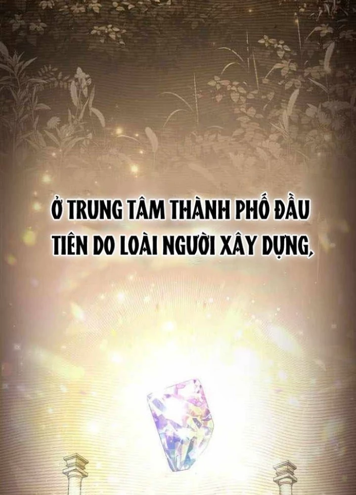 Đa Sắc Ma Pháp Sư Thiên Tài Chapter 33 - Trang 3