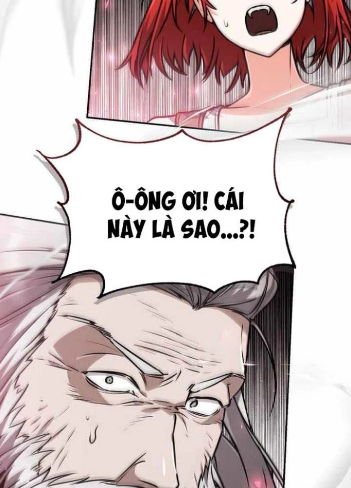 Đa Sắc Ma Pháp Sư Thiên Tài Chapter 33 - Trang 3