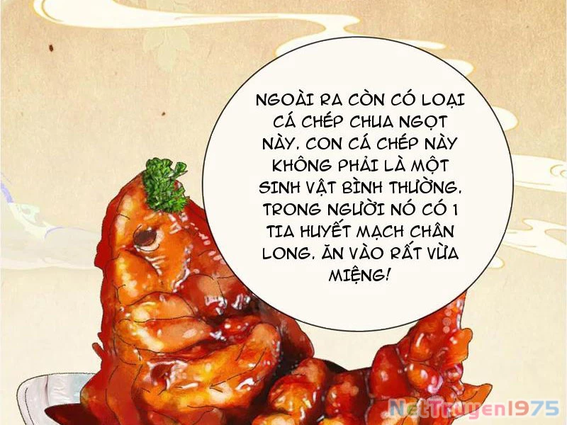 Gặp Mạnh Thì Mạnh, Ta Tu Vi Vô Thượng Hạn Chapter 41 - Trang 2