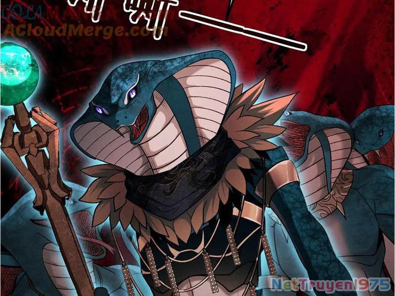 Gặp Mạnh Thì Mạnh, Ta Tu Vi Vô Thượng Hạn Chapter 41 - Trang 2