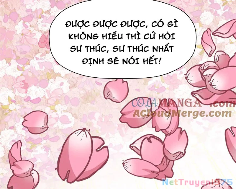 Đỉnh Cấp Khí Vận, Lặng Lẽ Tu Luyện Ngàn Năm Chapter 215 - Trang 2