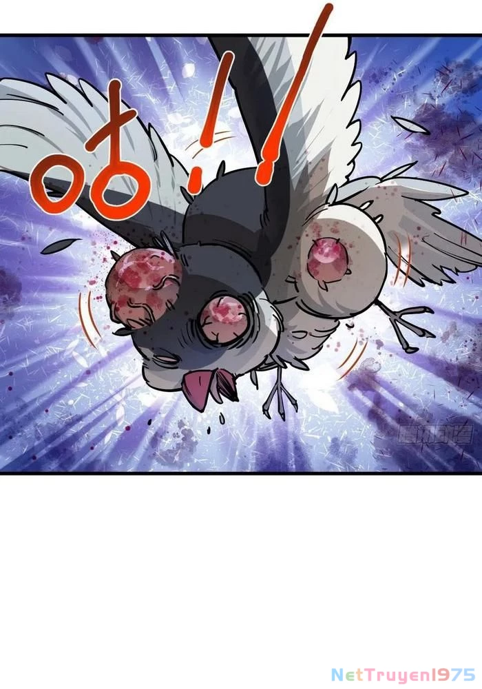 Xuyên Không Thành Chim Chapter 307 - Trang 3
