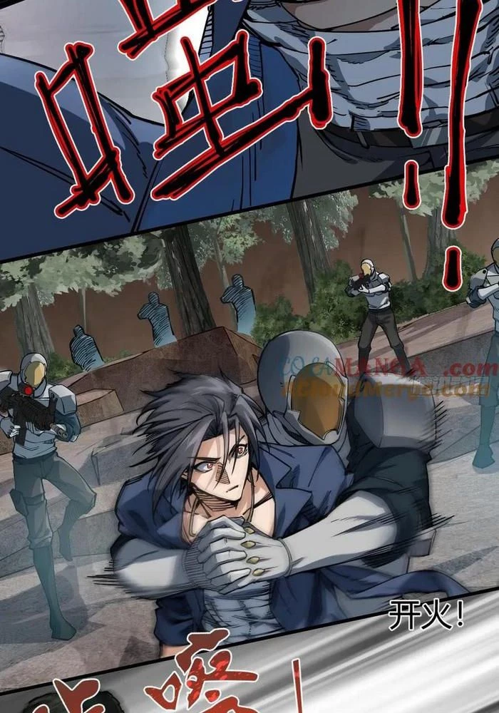 Xuyên Không Thành Chim Chapter 307 - Trang 3