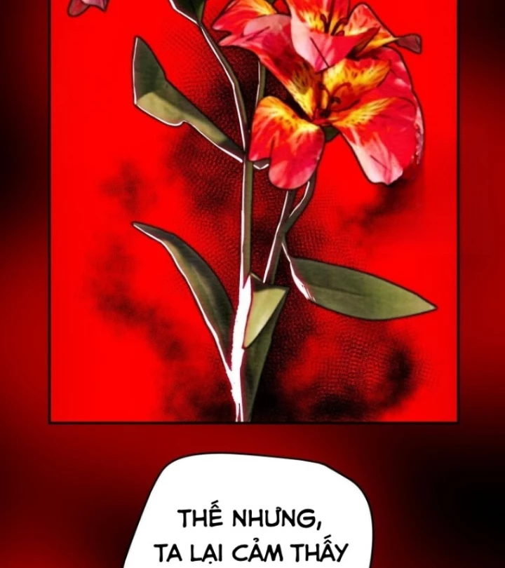 Thiên Quang Minh Nguyệt Chapter 20 - Trang 3