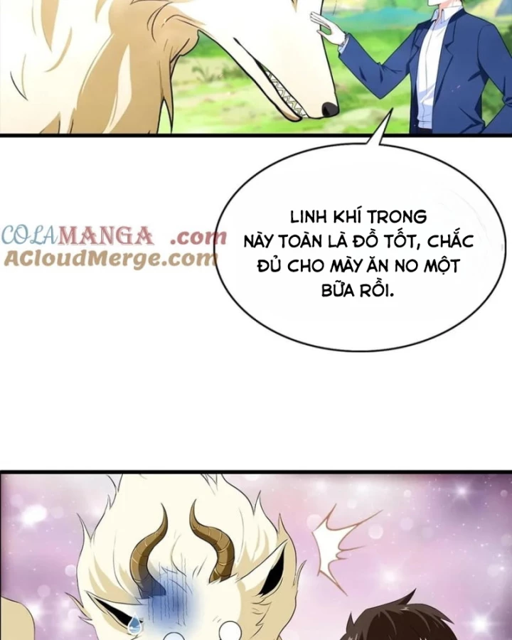 Đô Thị Thánh Thủ: Ta Là Y Võ Đỉnh Phong Chapter 123 - Trang 3