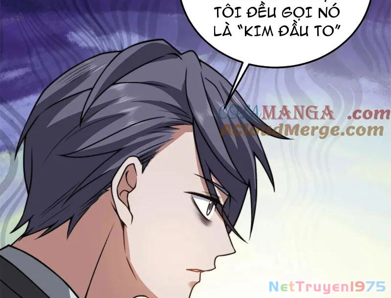 Giải Cứu Thế Giới Bằng Cách Thăng Cấp Chapter 35 - Trang 3