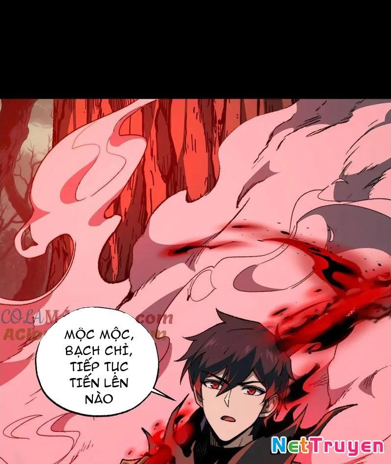 Tai Ách Cấp Mục Sư Chapter 41 - Next Chapter 42