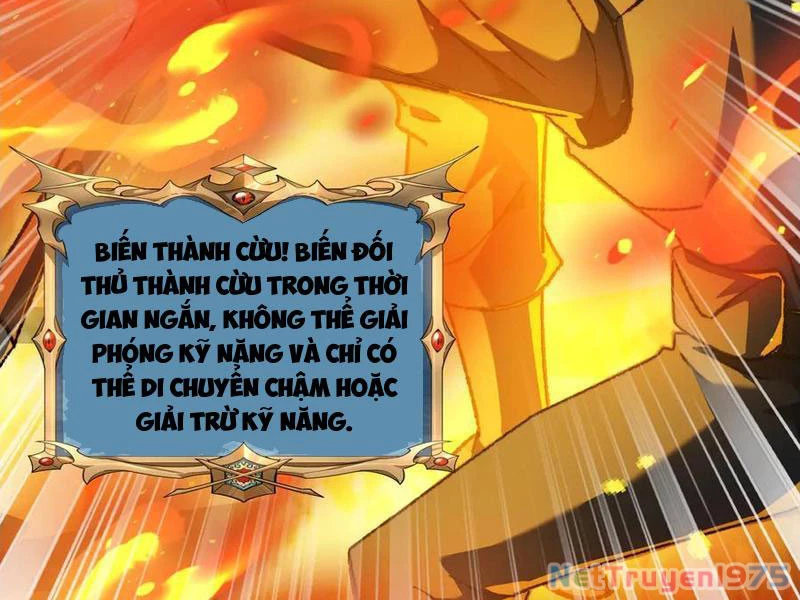 Tai Ách Cấp Mục Sư Chapter 42 - Next Chapter 43